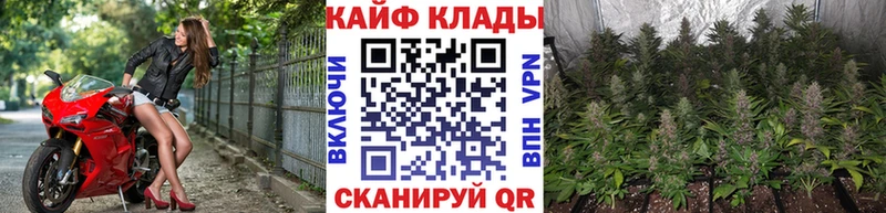 Купить наркотики цена Черкесск Канабис  COCAIN  ГАШИШ  Героин  Меф мяу мяу  Альфа ПВП 