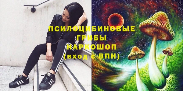 кокаин премиум Заводоуковск