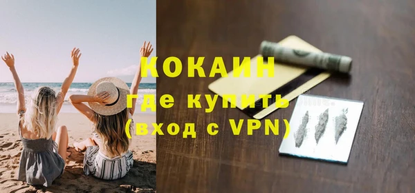 ГАЛЛЮЦИНОГЕННЫЕ ГРИБЫ Ельня