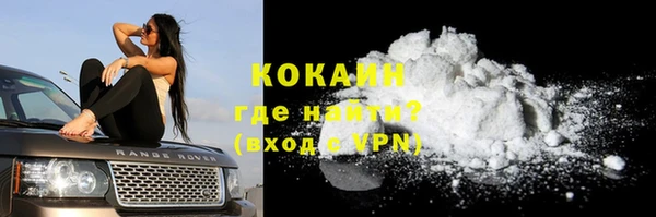 ГАЛЛЮЦИНОГЕННЫЕ ГРИБЫ Ельня