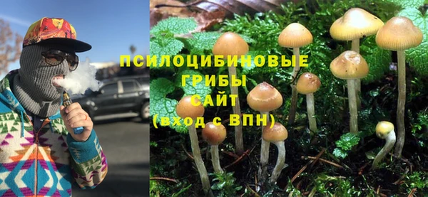 мет Елабуга