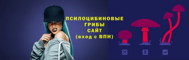 бошки Дмитриев
