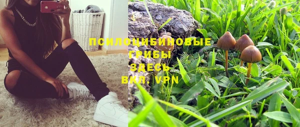 кокаин премиум Заводоуковск