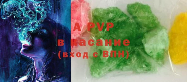 ГАЛЛЮЦИНОГЕННЫЕ ГРИБЫ Ельня
