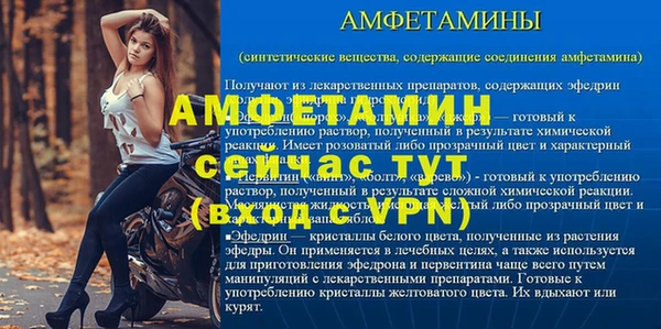 ГАЛЛЮЦИНОГЕННЫЕ ГРИБЫ Ельня