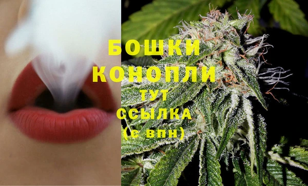 мет Елабуга