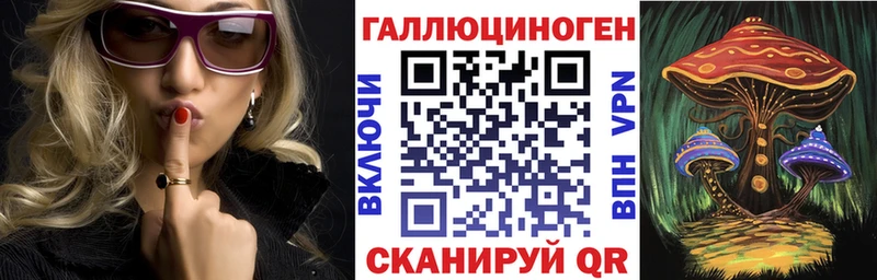 Галлюциногенные грибы Psilocybine cubensis  цены наркотик  kraken ссылки  Черкесск 